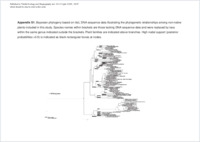 Supplementary material