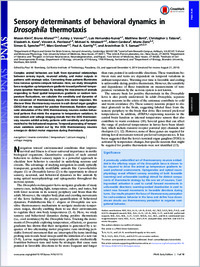 pdf and supplementary material