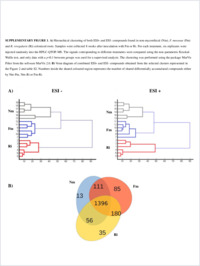 Supplementary material