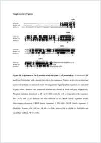 Supplementary material