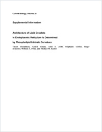 Supplementary material