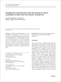 Fulltext