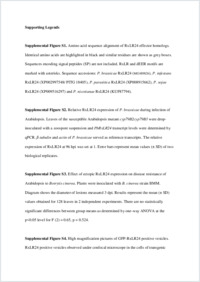 Supplementary material