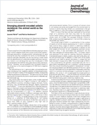 Fulltext