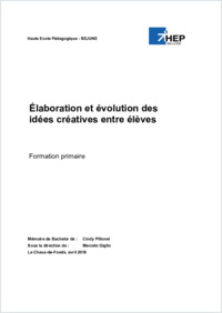 Mémoire_Pillonel, Cindy