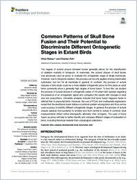 Plateau_Foth_2021_Skull_Bone_Fusion_in_Birds