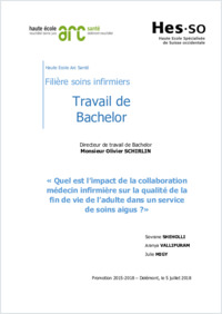 Travail De Bachelor