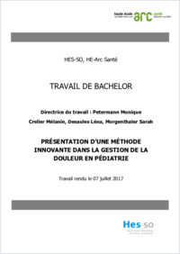 Travail De Bachelor