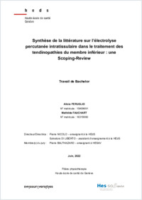 TBSc2022_Fauchart_Feruglio.pdf