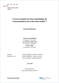 Bachelor_Thesis_Bussinger_Castillo_Fleury_BA19.pdf