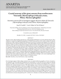 carrilloetal.-2022-cranialanatomyofthegiantanteaterfromnorthwe