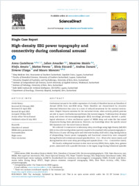 Castelnovo_2022_Else_cortex
