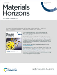 strainmapping_acceptedmanuscript_0