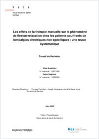 TBSc2023_Baglione_Brandtner.pdf