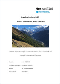 Despland_Arthur_2023_TBSansAnnexe.pdf