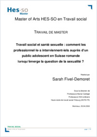 TM_FivelDemoret_2024.pdf