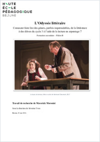 FSEC_2024_TER_Morosini_Maverick.pdf