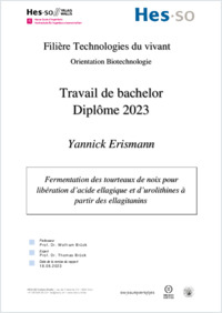 rapportFinal_Erismann_Yannick.pdf