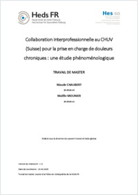 MT_2025_Mounier_Maëlle-Chaubert_Maude_collaboration_interprofessionnelle_CHUV_Suisse_douleurs_chroniques.pdf