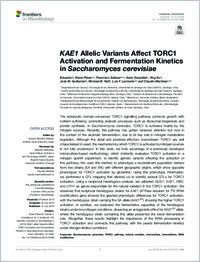 Full-text