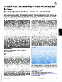 Full-text