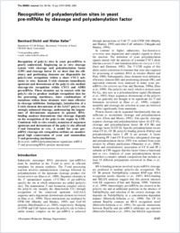 Full-text