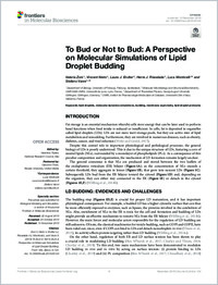 Full-text