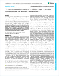 Full-text