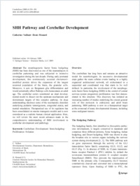 Full-text