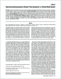 Full-text