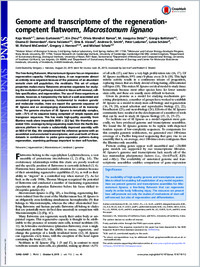 Full-text