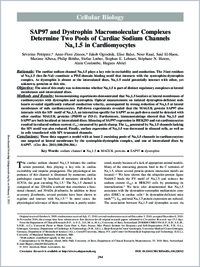 Full-text