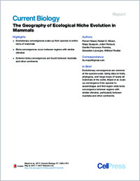 Full-text