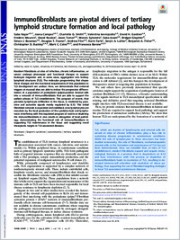 Full-text