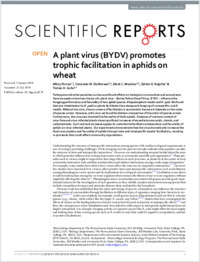 Full-text