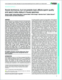 Full-text