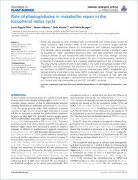 Full-text