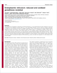 endoplasmic reticulum reduced and oxidized glutathione revisited Intracellular pools are heterogeneously concentrated SLC33A1 exports oxidized glutathione to