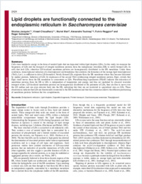 Full-text