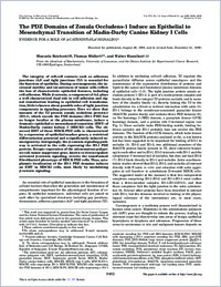 Full-text