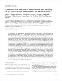 Full-text