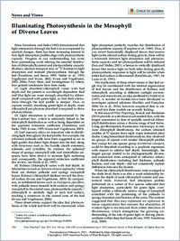 Full-text